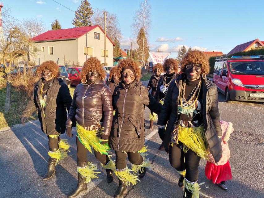 Fašnik u Zasadbregu