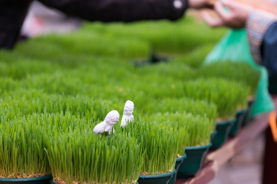 Klikom po Prelogu (21.12.2019.)