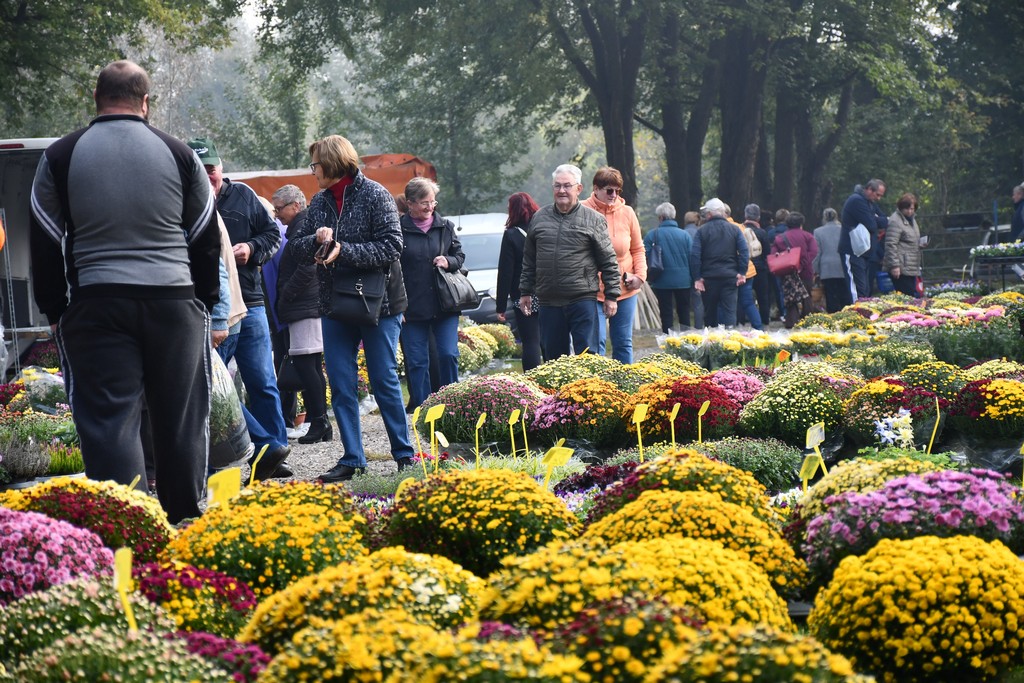 FOTO S dolaskom hladnijih dana povećan interes za kupnju drva za ogrjev