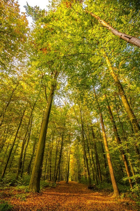 Jesenska rapsodija kroz objektiv Miroslave Novak