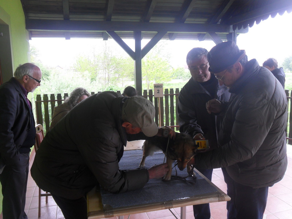 fotografija00013773541