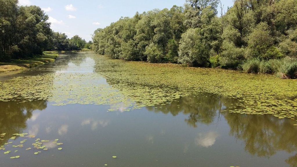 1953179713685236765504721170093