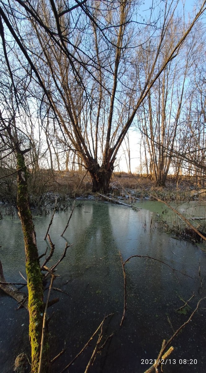 Zvonimir Habuš iz Kotoribe očarava fotografijama netaknute prirode