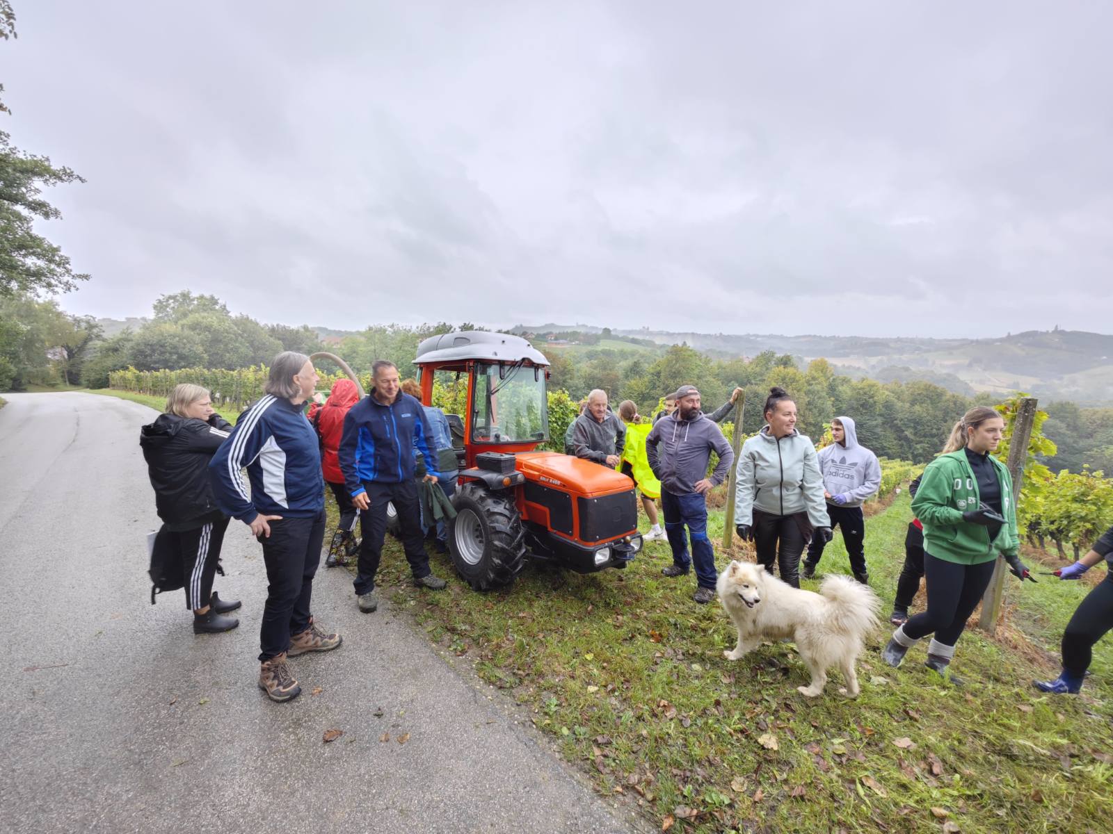 FOTO U ovogodišnjoj humanitarnoj akciji ‘Radio gorice za Katružu’ prikupljeno 260 kilograma grožđa i 1.050 eura