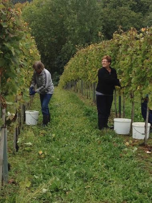 bratvapusipel1658783