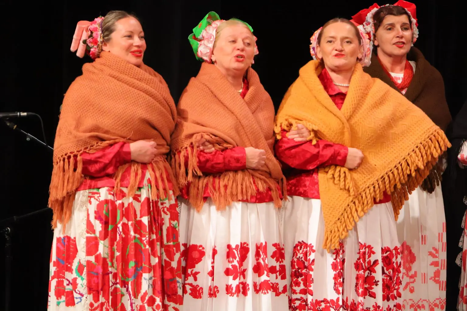 31. Susreta hrvatskih folklornih ansambala i izvornih skupina (11)