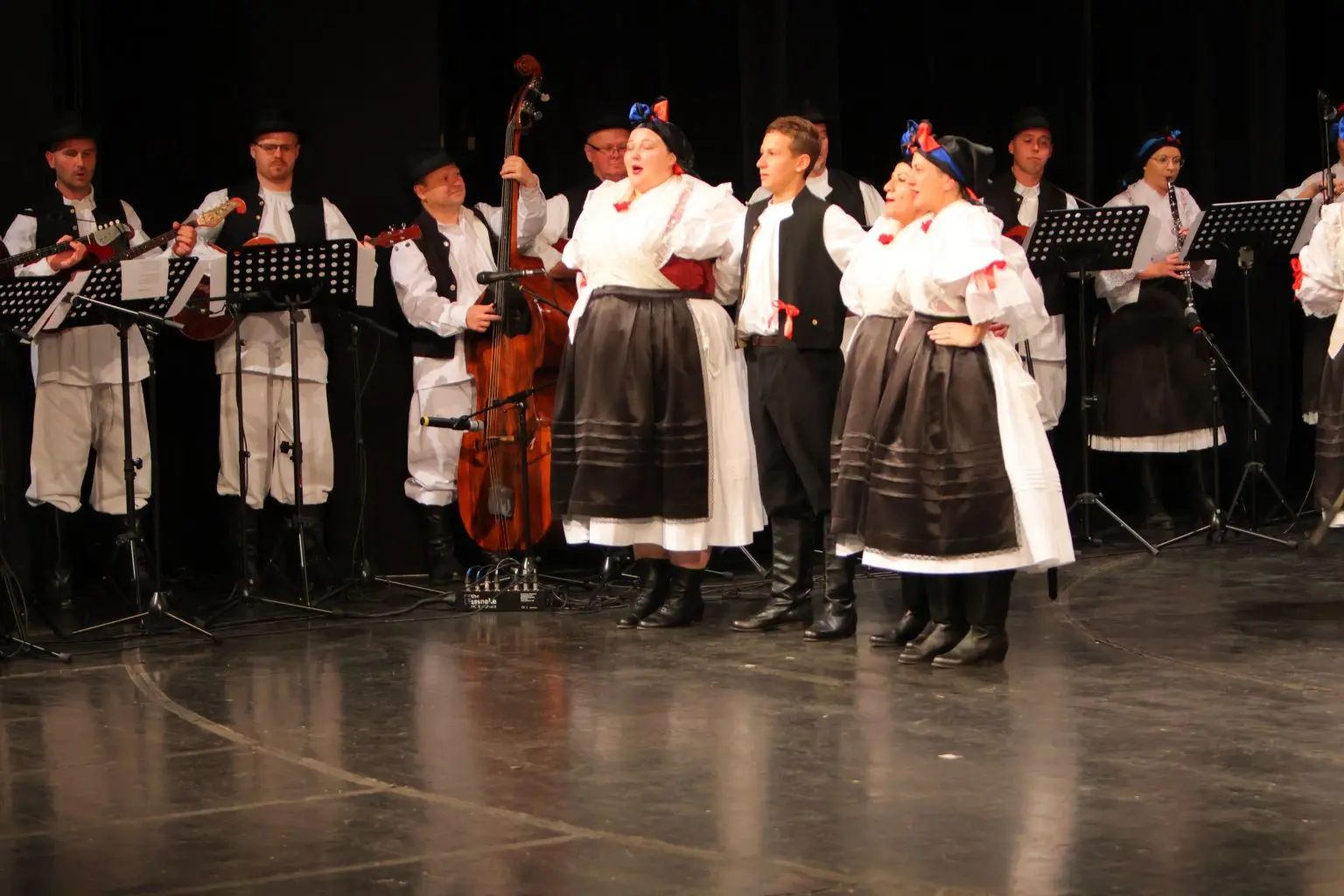 31. Susreta hrvatskih folklornih ansambala i izvornih skupina (34)