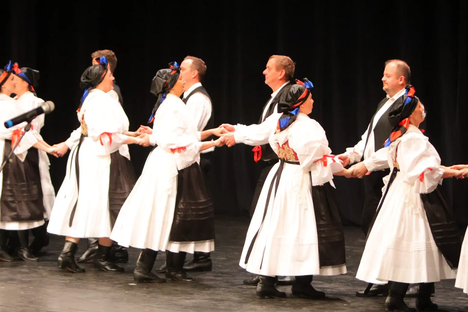 31. Susreta hrvatskih folklornih ansambala i izvornih skupina (36)