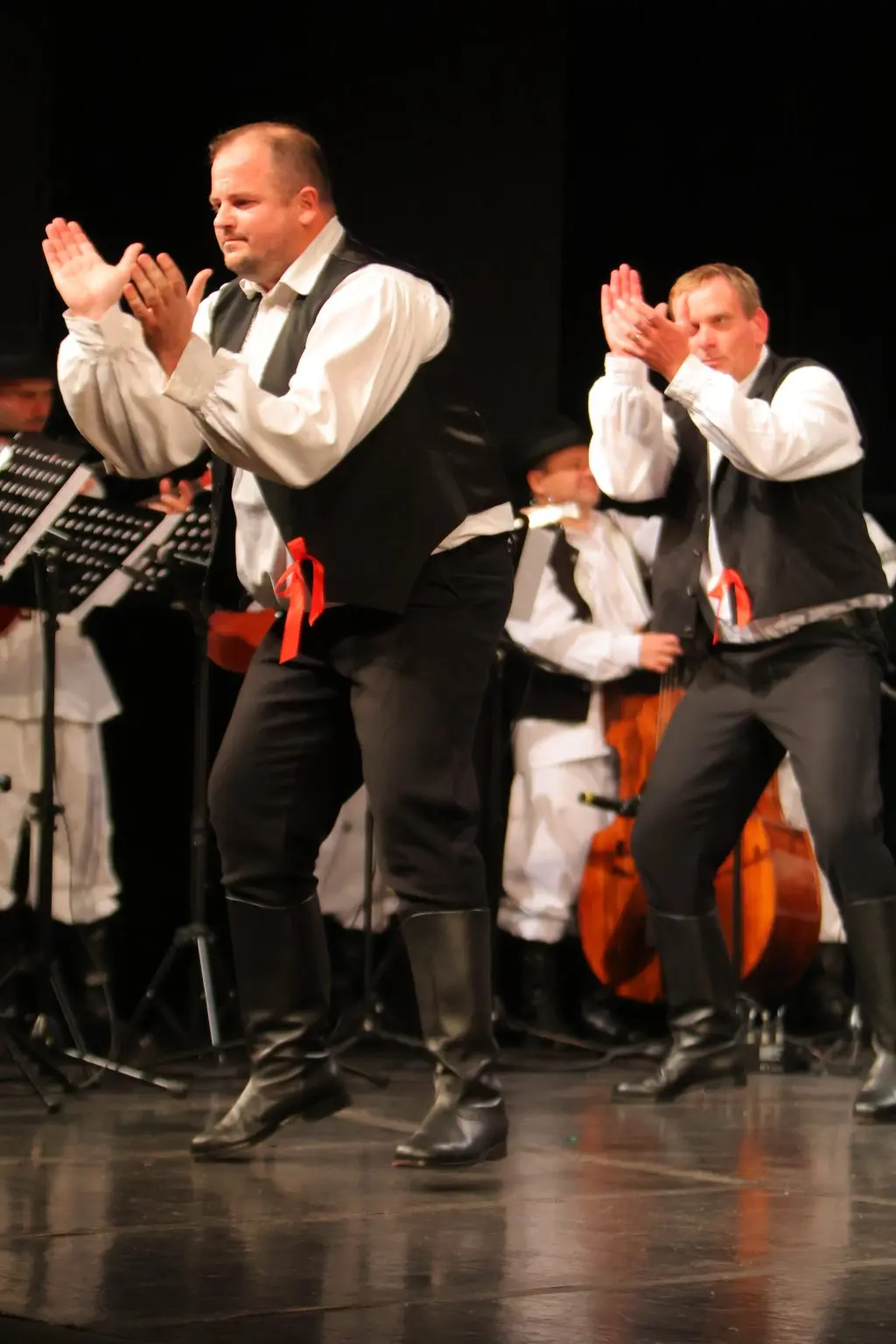 31. Susreta hrvatskih folklornih ansambala i izvornih skupina (42)