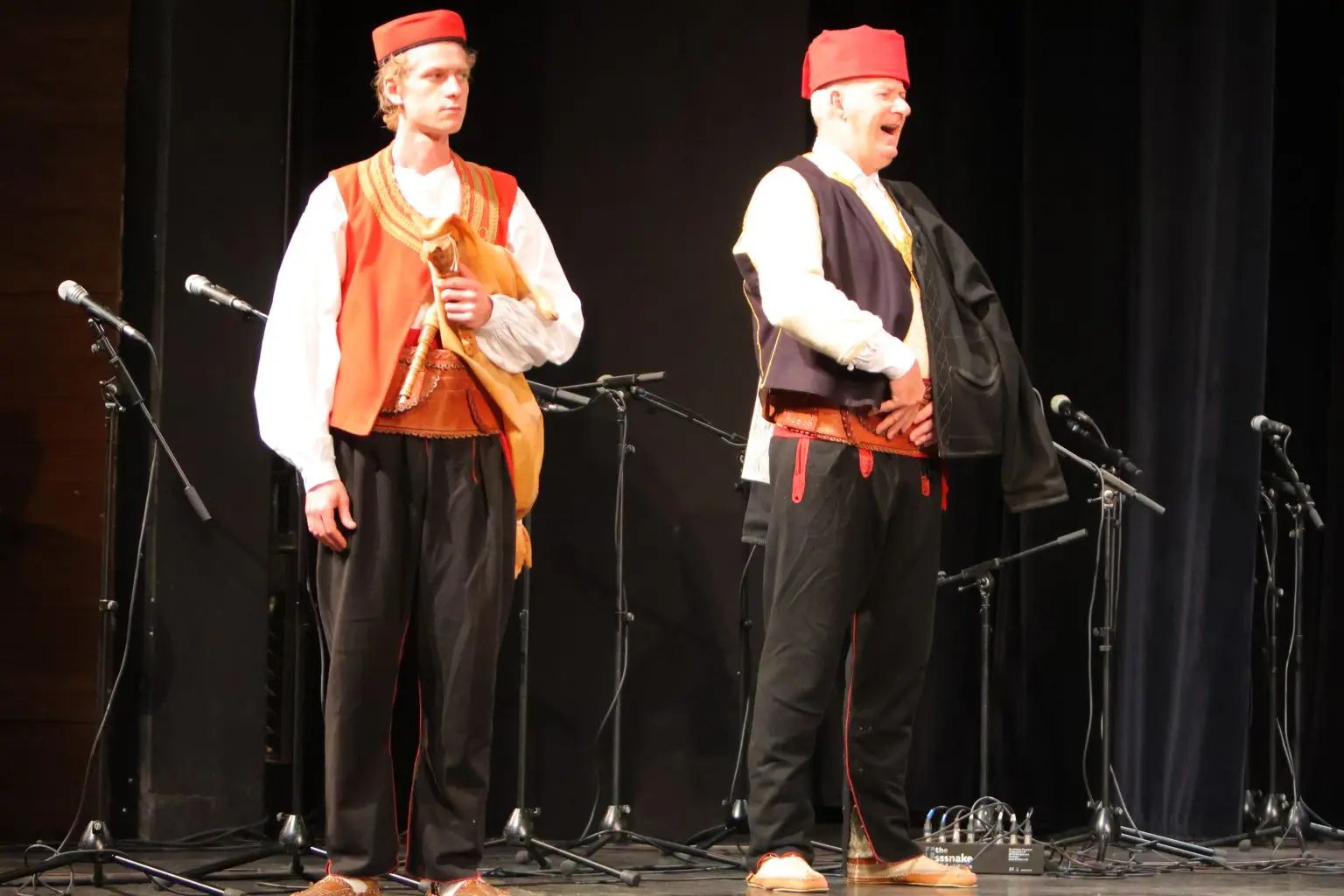 31. Susreta hrvatskih folklornih ansambala i izvornih skupina (5)