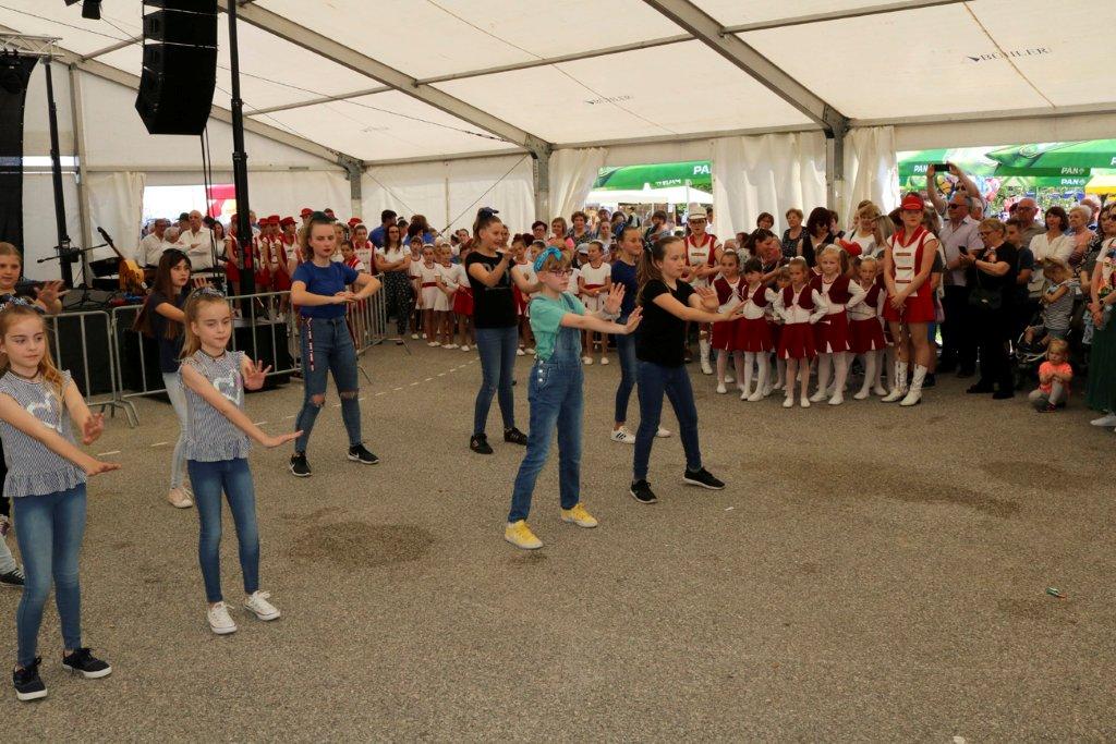 Plesna skupina OŠ Joža Horvat Kotoriba