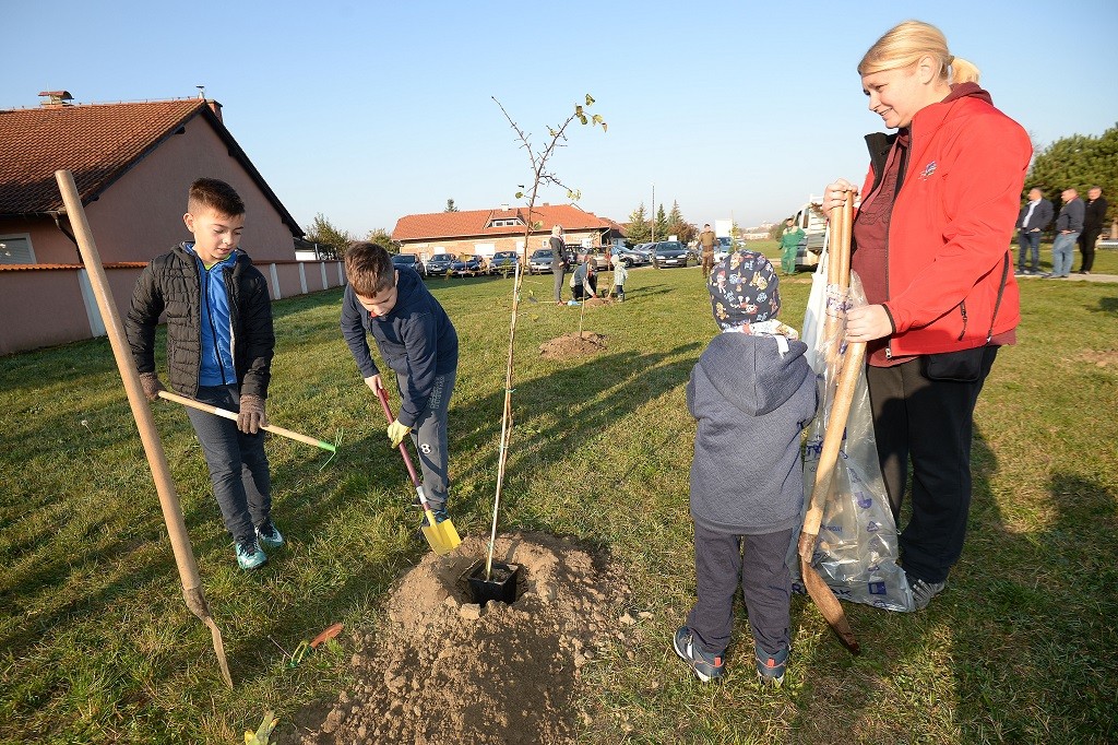 FOTO Velik broj građana subotnje prijepodne iskoristio za sadnju stabala u Čakovcu