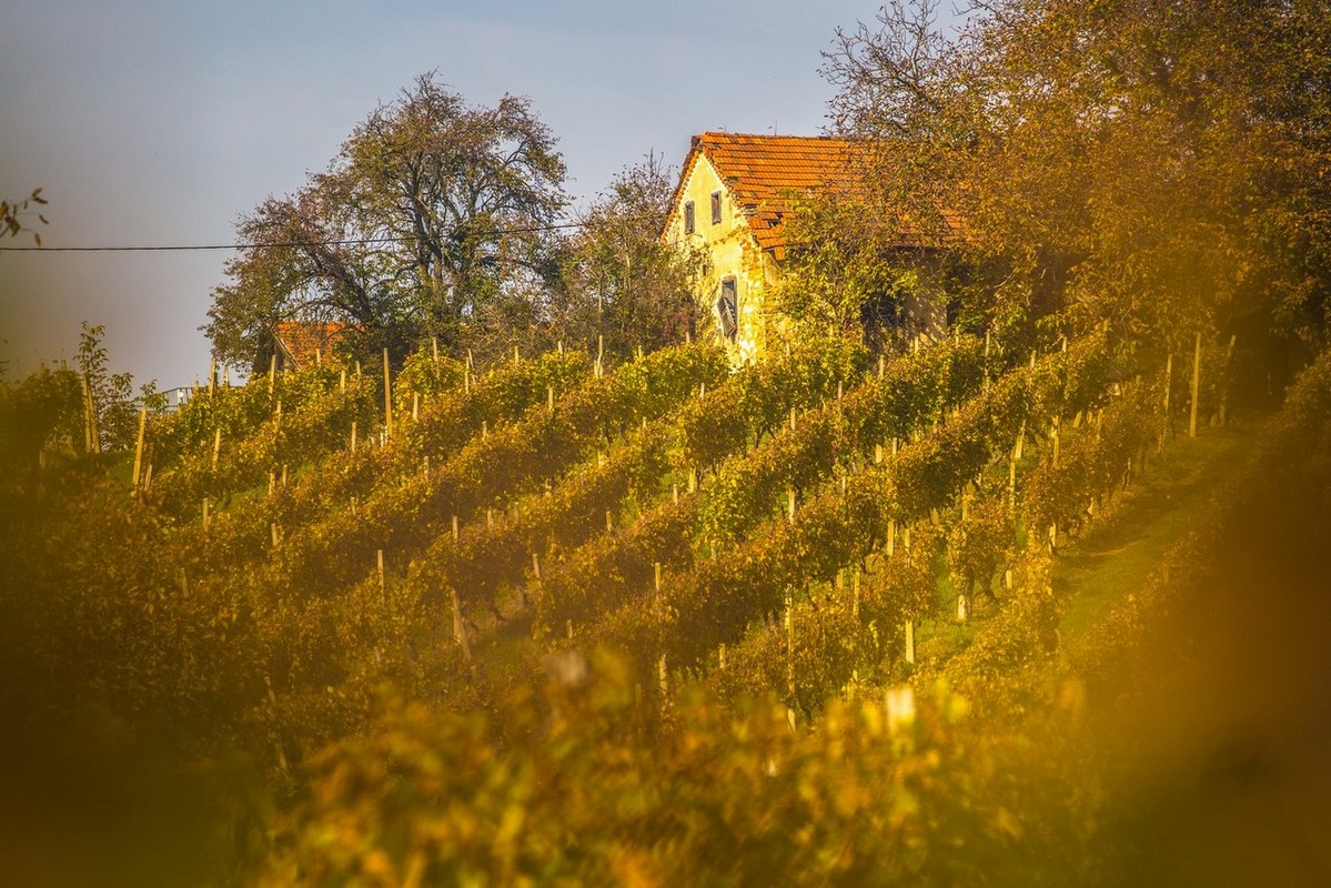 Jesenska rapsodija kroz objektiv Miroslave Novak