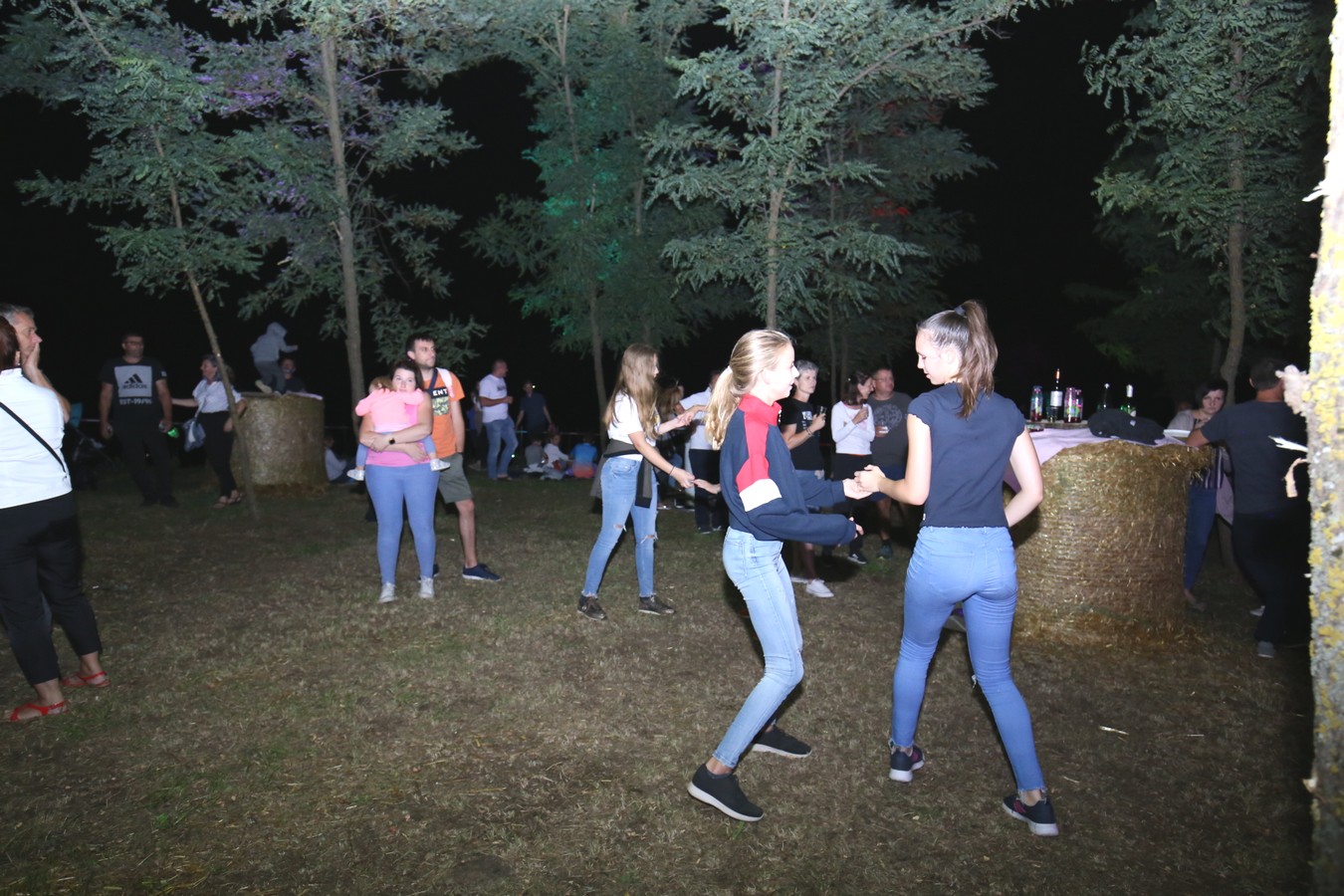 Odličan koncert Vatre u predivnom ambijentu Mađerkinog brega