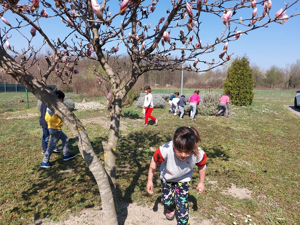 FOTO Područna škola Držimurec – Strelec: U dvorištu ih iznenadio zeko koji im je donio poklončiće za Uskrs FOTO Područna škola Držimurec – Strelec: U dvorištu ih iznenadio zeko koji im je donio poklončiće za Uskrs