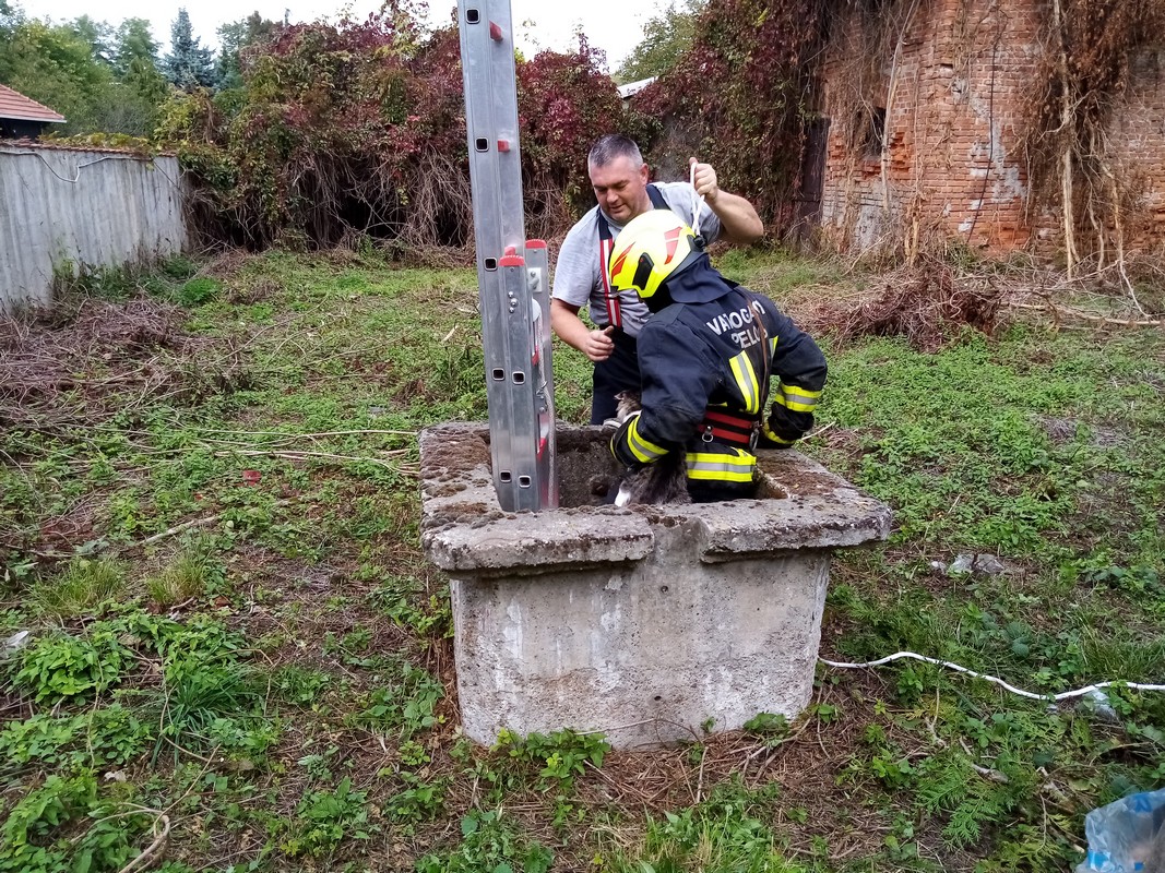 DVD Prelog DVD Prelog