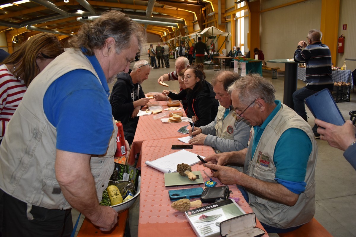 Smrčkijada Smrčkijada