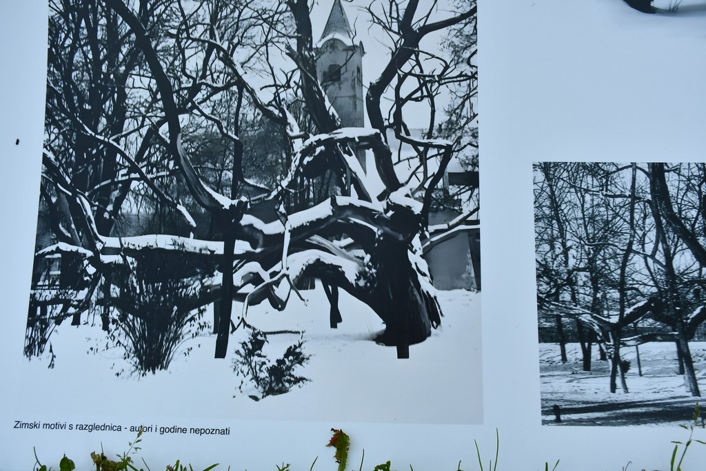 Sto godina Perivoja Zrinskih