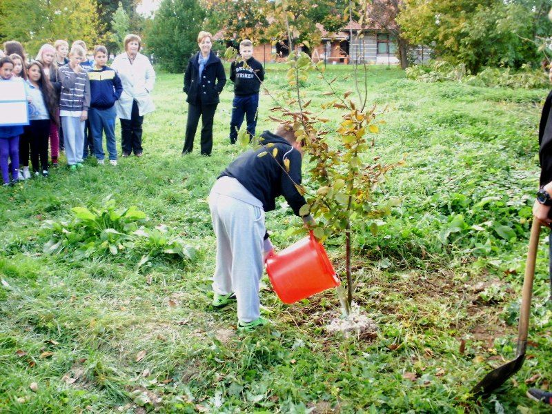 etwinningtreepribislaveccroatia