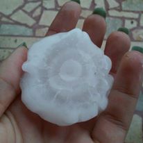 1171359311506319249535593169242