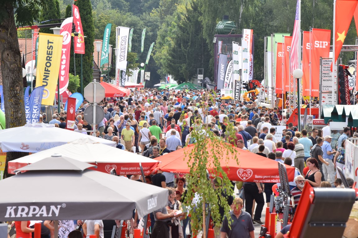 Image 5803675 (auto)