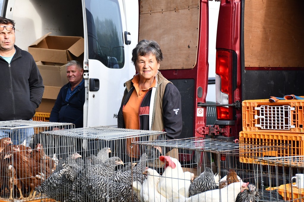 Čakovečki sajam 27.9.2023