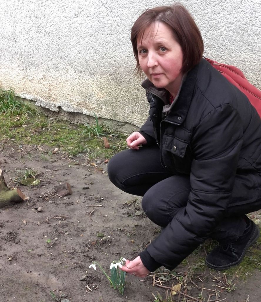 20160201141129526784