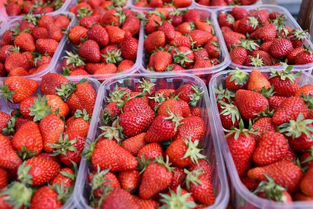 Festival jagoda, cvijeća i tradicije