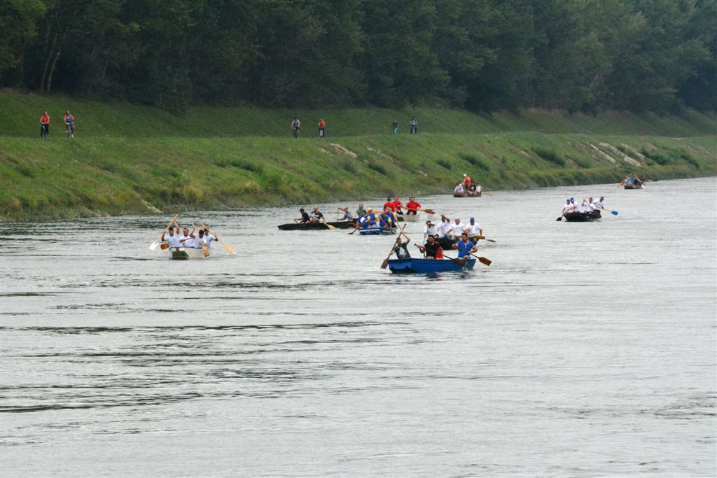 dsc4014376308