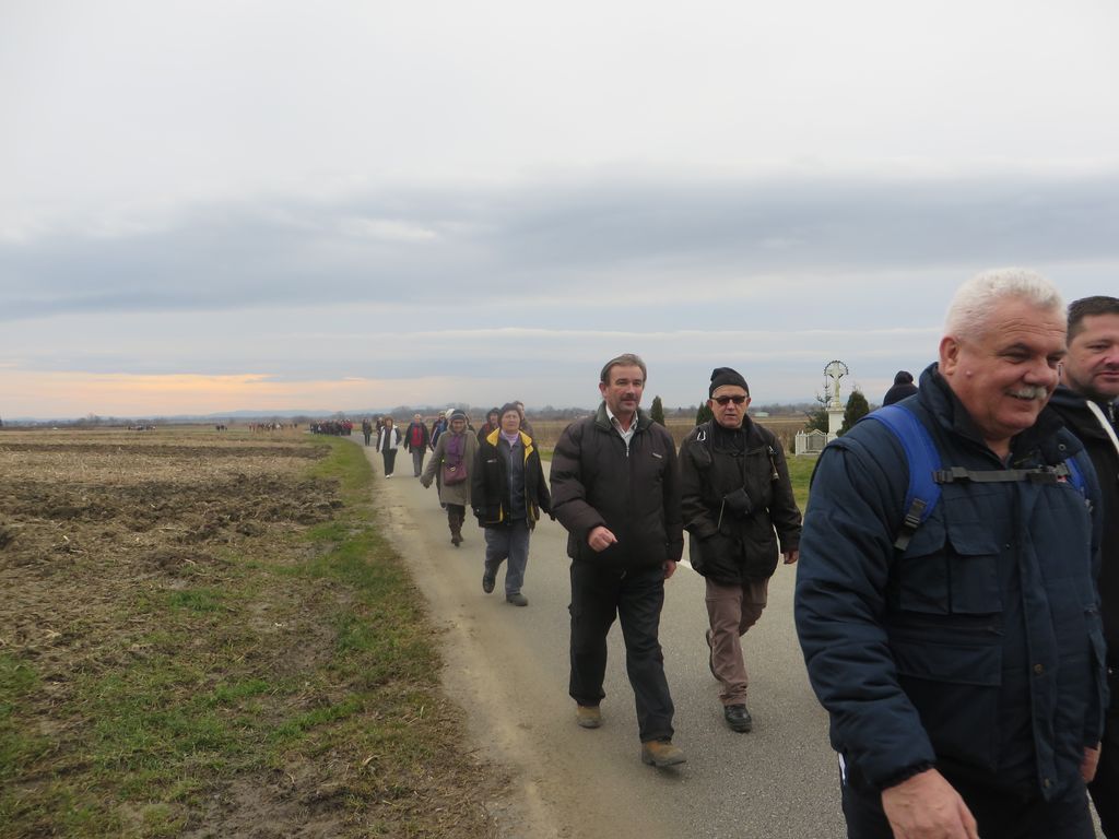 vincekovpohod4627684