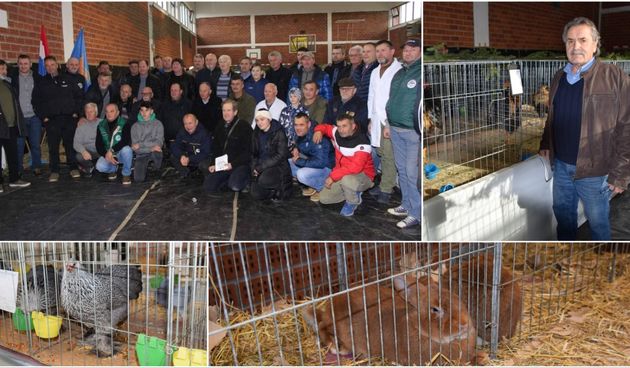 Izložba malih životinja Donja Dubrava