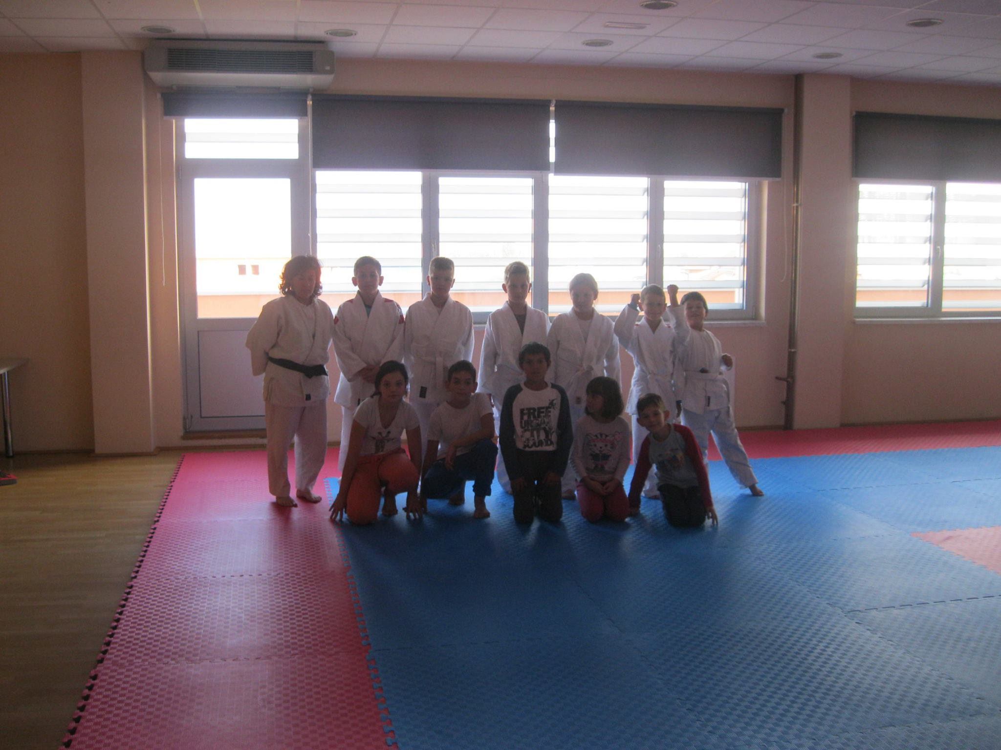 judo3794732