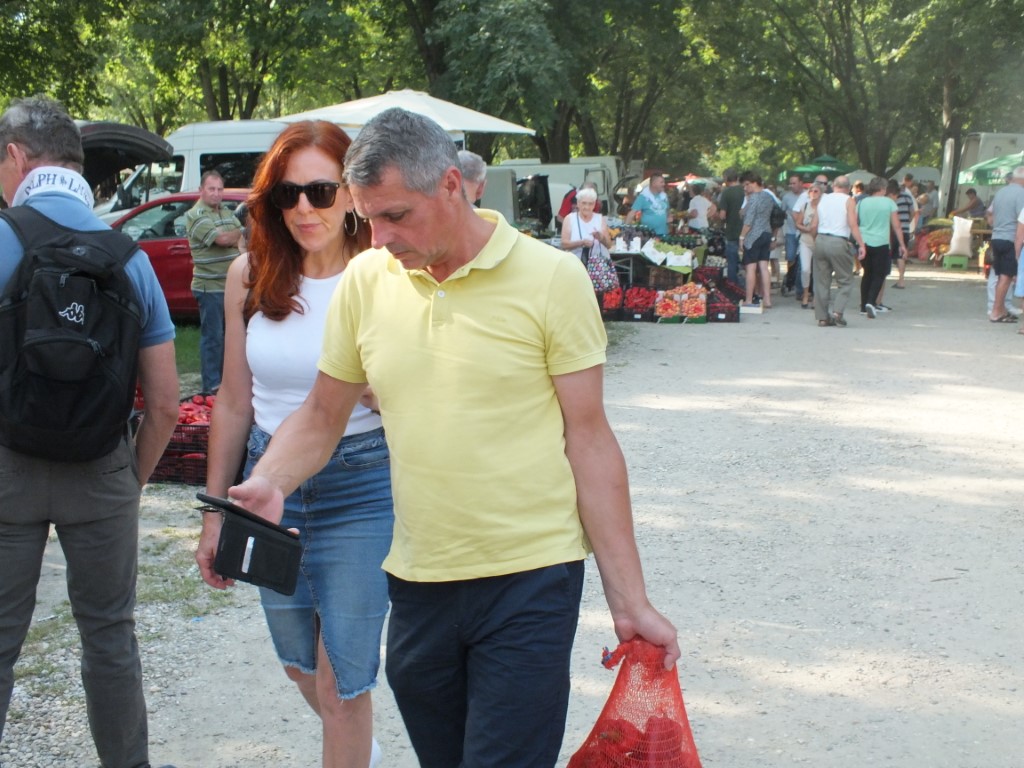 Image 5810929 (auto)