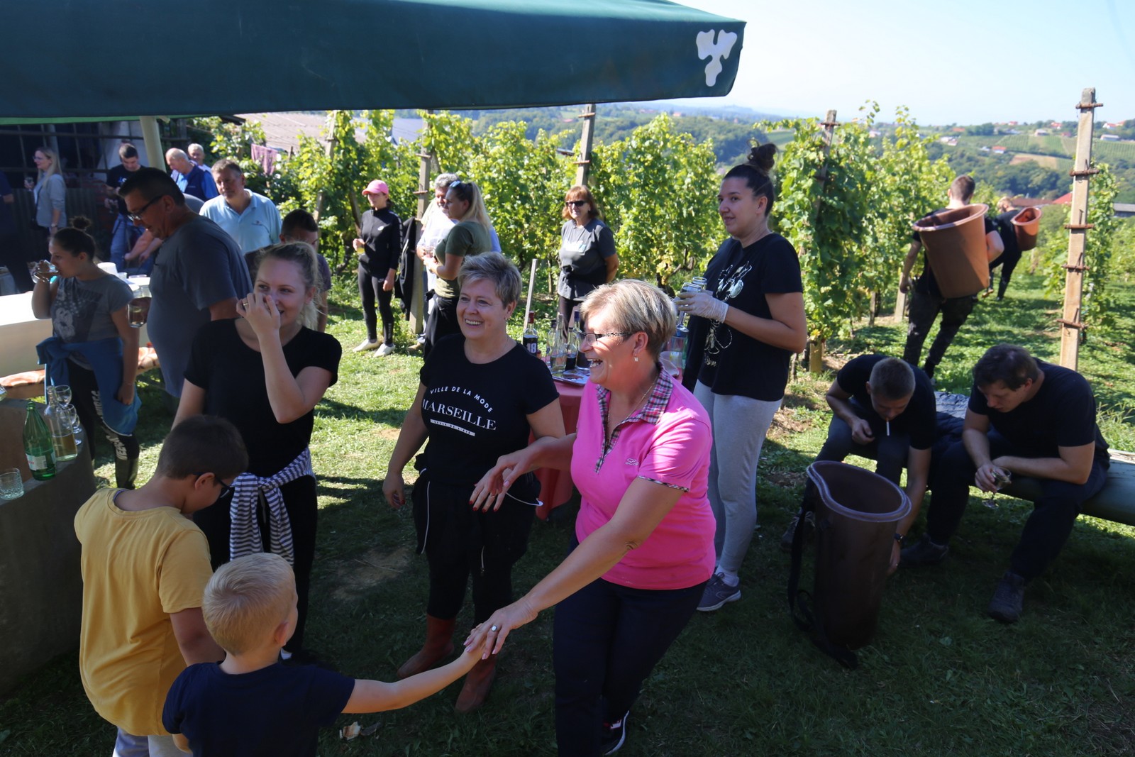 ‘Radio gorice za Katružu’: Tradicionalna humana berba po međimurskim bregima