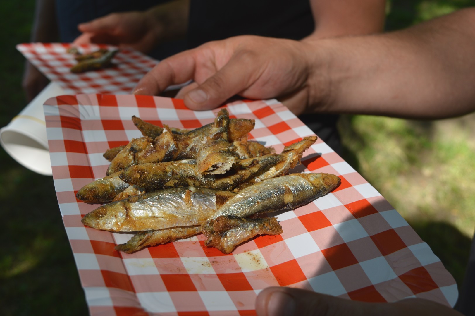 Ribijada u Kotoribi na Danima šibe i ribe