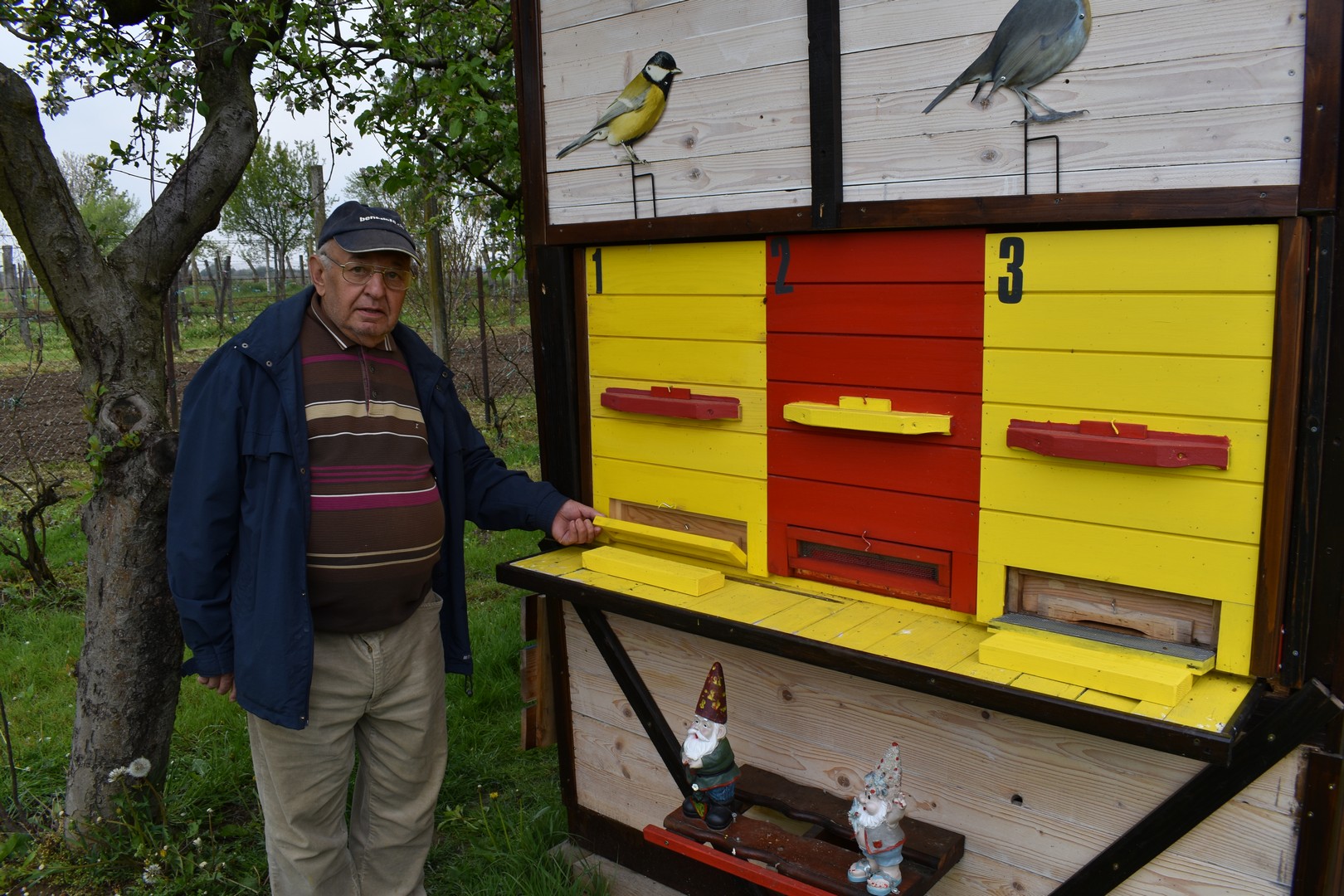 KAD TI SE PATULJCI ZAVUKU POD KOŽU Kako je nastala Stjepanova dvorišna bajka?