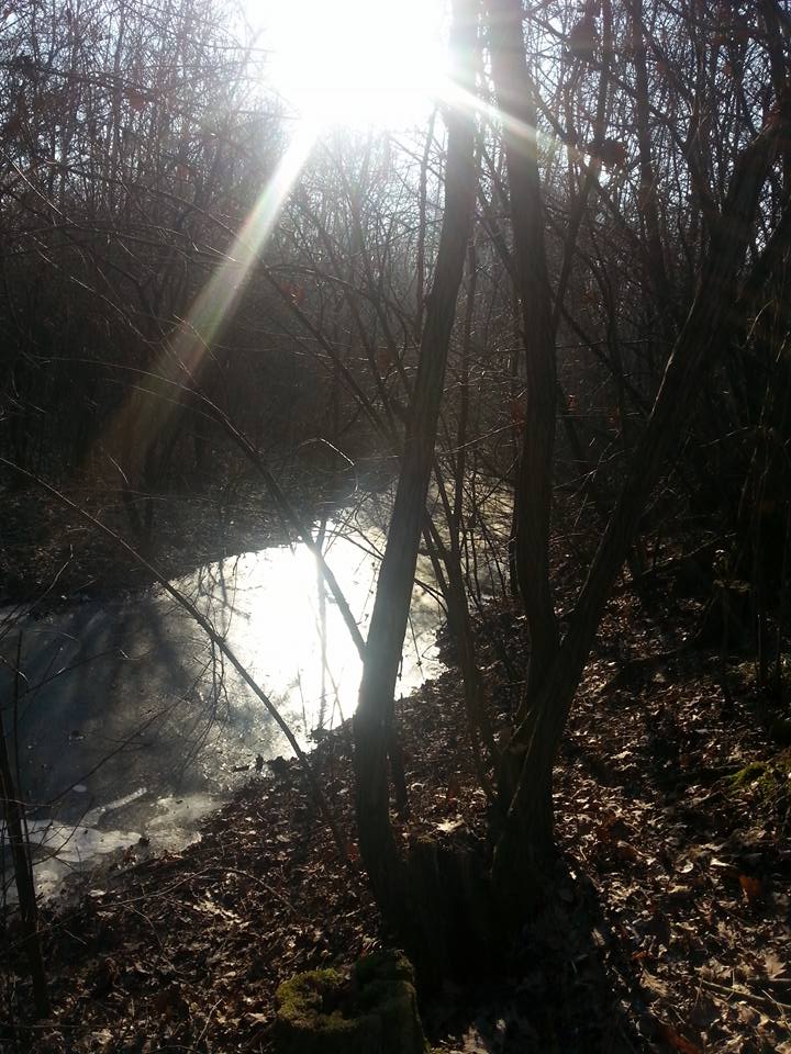 1255295054520279232489662252525