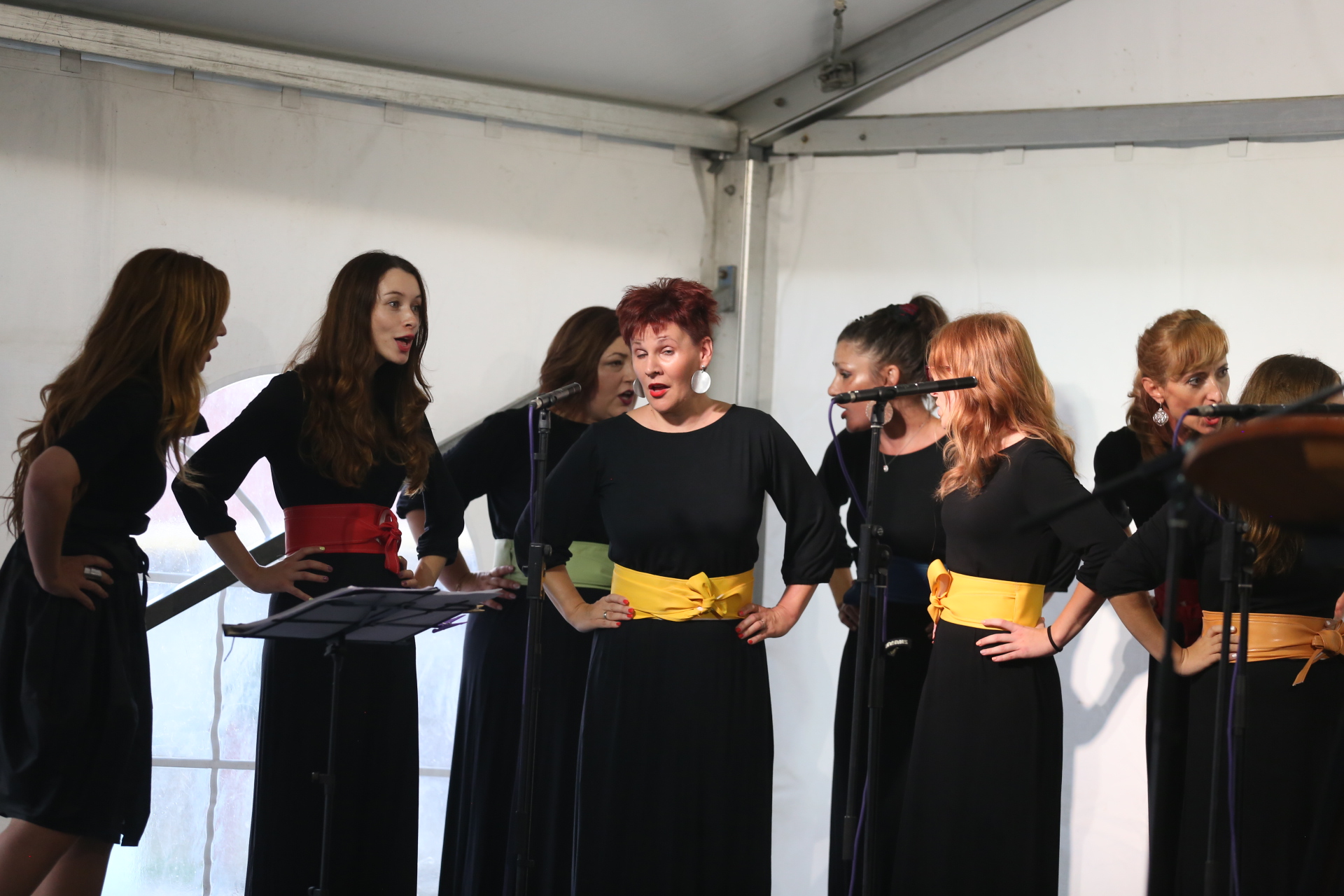 VELIKA FOTOGALERIJA Svečana sjednica uz Dan općine Pribislavec