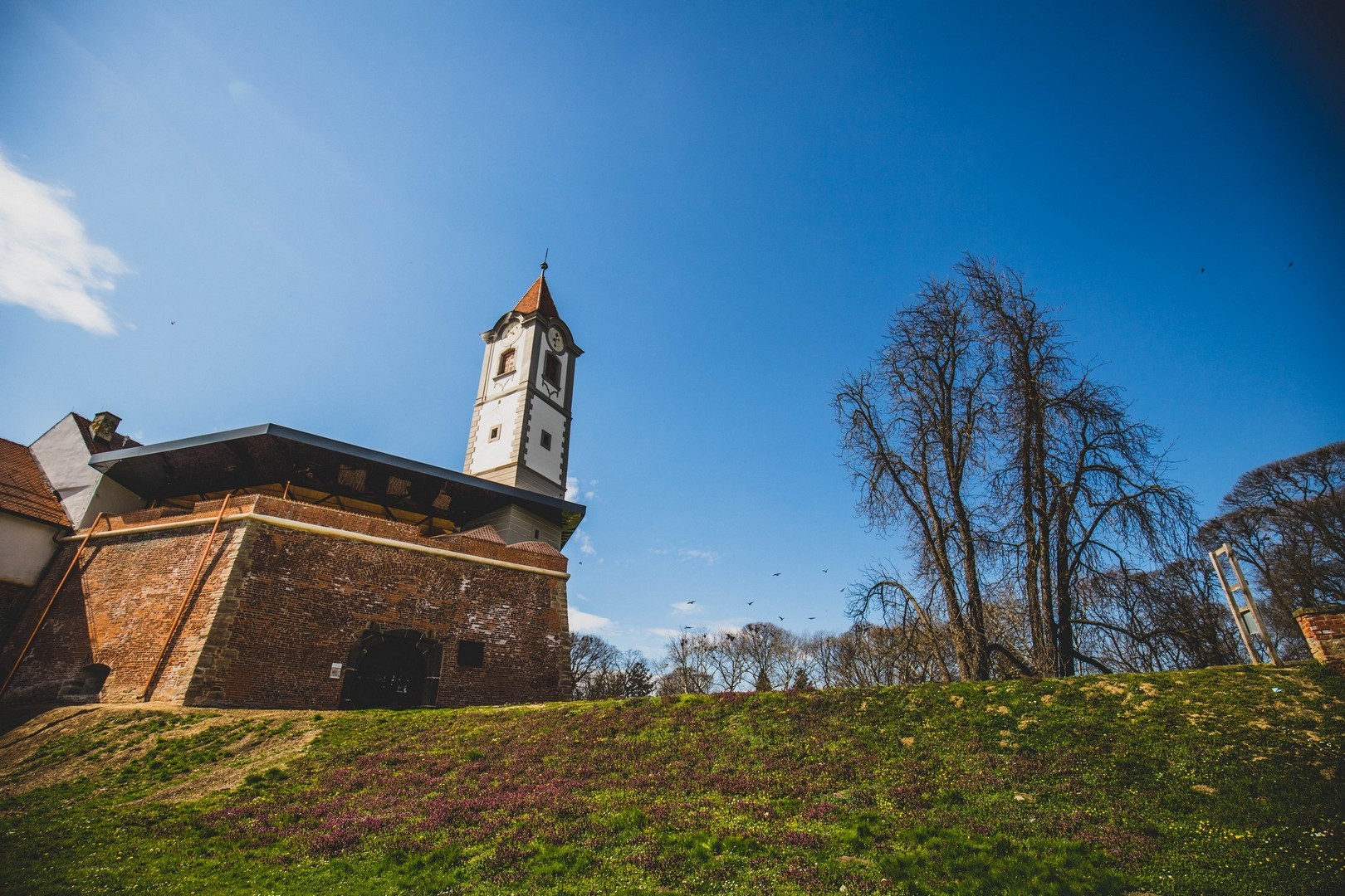 Proljetna cvjetna rapsodija u Međimurju iz objektiva Miroslave Novak Hranjec