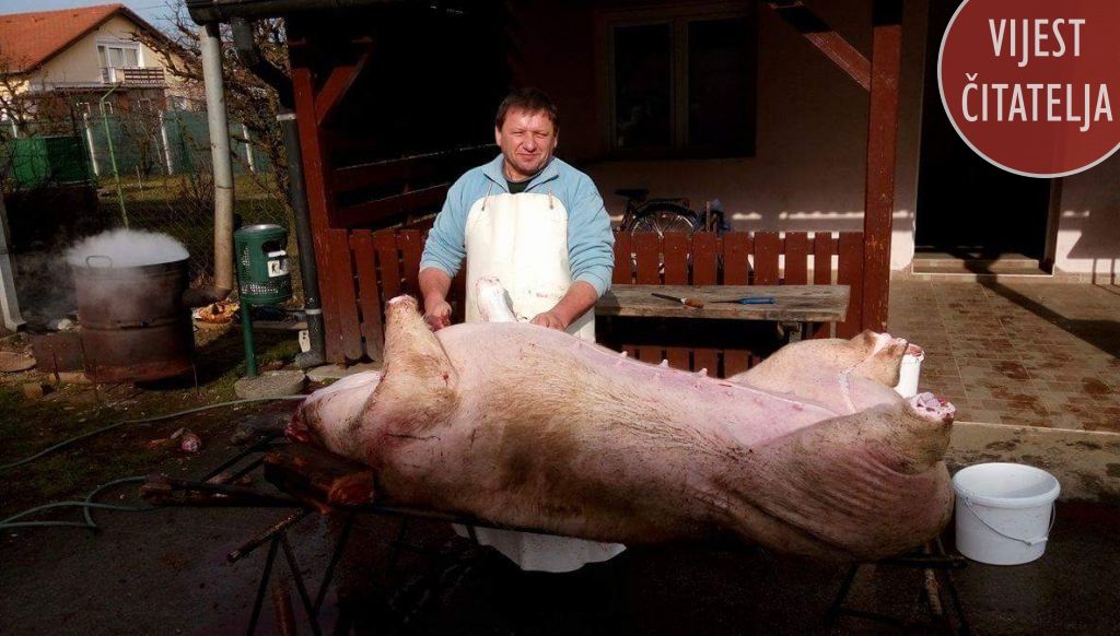 kudstrahoninec4364846