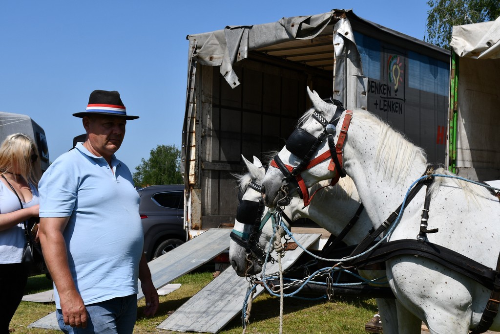 VIDEO I FOTO Međunarodno konjičko druženje okupilo brojne uzgajivače konja iz SZ Hrvatske te Slovenije i Austrije