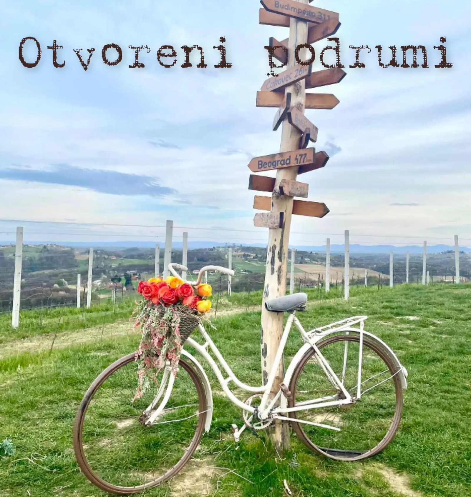 vinarija štampar bicikl Mađerkin breg vinarija štampar bicikl Mađerkin breg