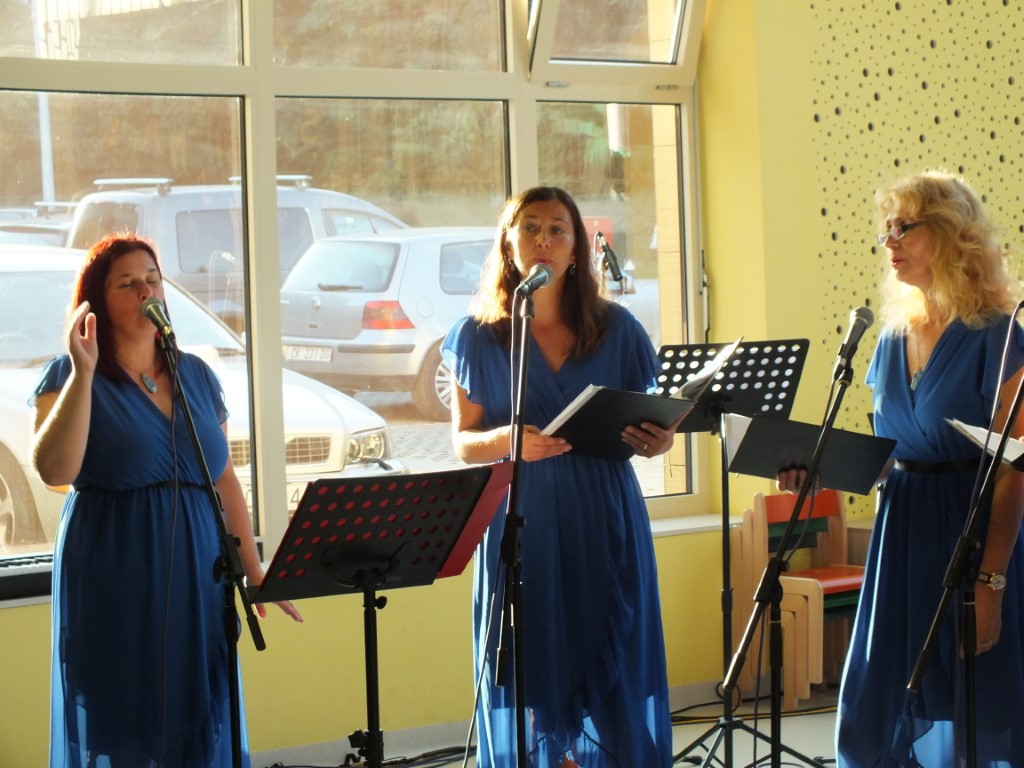 Image 5833181 (auto)