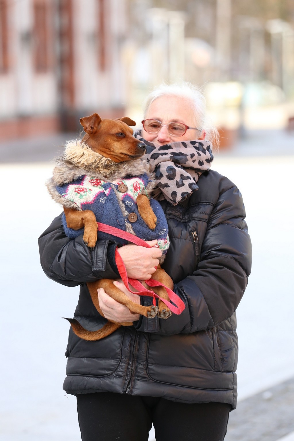 Klikom po Čakovcu (13.2.2021.)