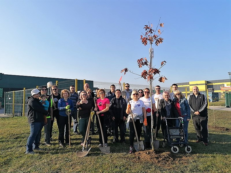 BRAVO, MEĐIMURCI U akciji sadnje drveća na širem čakovečkom području posađeno stotine novih stabala BRAVO, MEĐIMURCI U akciji sadnje drveća na širem čakovečkom području posađeno stotine novih stabala