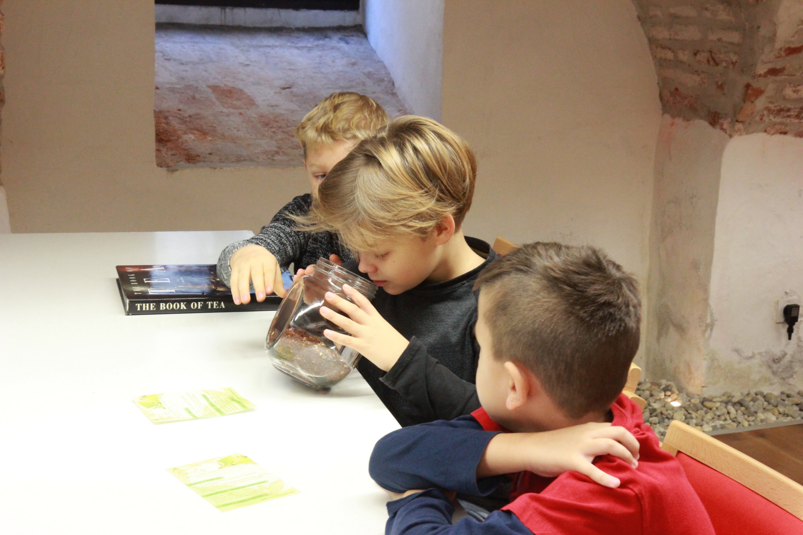 Muzej Međimurja Čakovec