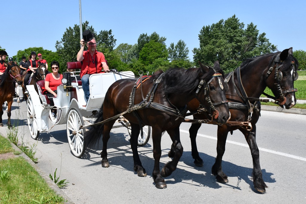 VIDEO I FOTO Međunarodno konjičko druženje okupilo brojne uzgajivače konja iz SZ Hrvatske te Slovenije i Austrije