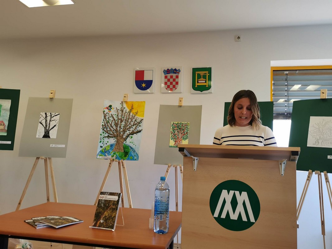 Predstavljanje platane