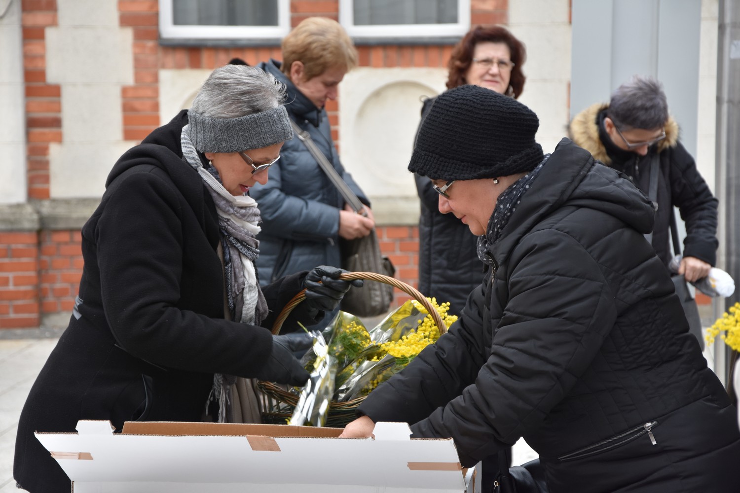 Dan mimoza u Čakovcu