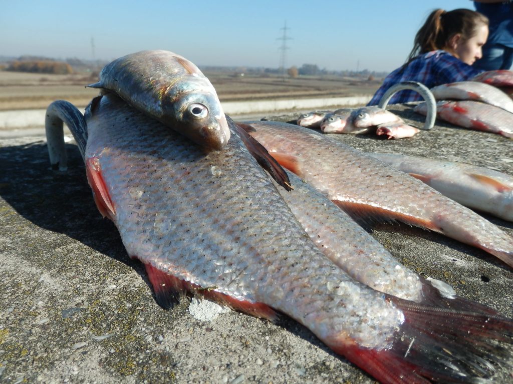 151112monitoring35241784